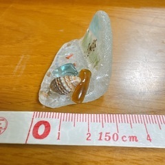 シーグラス:犬と魚の画像