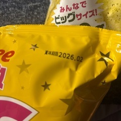 BIG BAGの画像