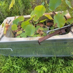 こんな感じの浴槽🛁再利用♻️できますかね、、、の画像