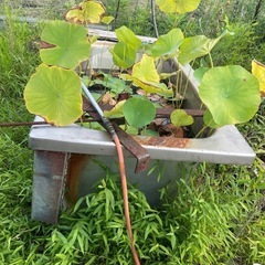 こんな感じの浴槽🛁再利用♻️できますかね、、、の画像