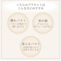 【新品】 ゆきねえモアソフト快適バストホールドシェイプブラキャミ グレージュ3Lの画像
