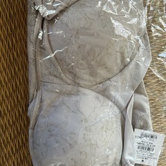 【新品】 ゆきねえモアソフト快適バストホールドシェイプブラキャミ グレージュ3Lの画像