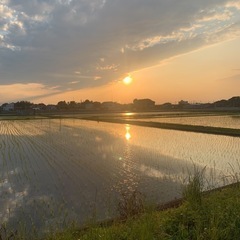 夜さんぽ🌙