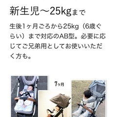英国王室御用達 シルバークロス jet
の画像
