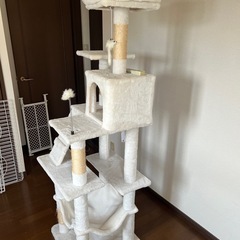 キャットタワー🐱🗼美品の画像