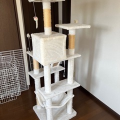 キャットタワー🐱🗼美品の画像