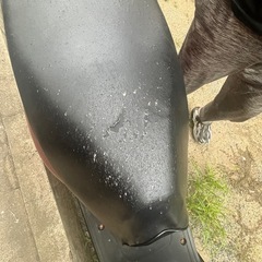 稼動車 ホンダ タクトの画像
