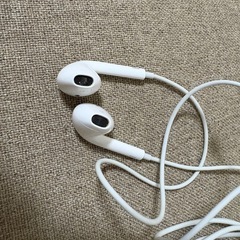 イヤホン/ライトニングの画像