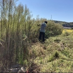 草刈、草抜き　2000円