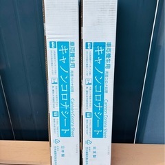 【新品】2箱セット 大塚刷毛 キャノンコロナシート 車両養生用 車体カバー マスキングシート ロールタイプ 100m 養生 使い捨て 塗装 ホコリ 湿気 保護 ワンボックス車/大型乗用車にも対応 の画像