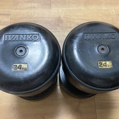 IVANKO イヴァンコ ラバーダンベル24kg2個　ホームジム トレーニング アイロテック バーベルの画像