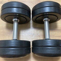 IVANKO イヴァンコ ラバーダンベル24kg2個　ホームジム トレーニング アイロテック バーベルの画像