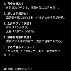 バートル　空調服➕ペルチェベストの画像
