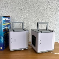 ここひえ　R4 22013の画像