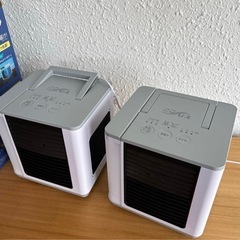 ここひえ　R4 22013の画像