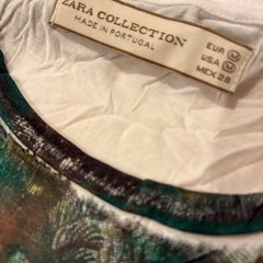 ZARA レーヨン素材　Mサイズ　インセクトプリントワンピースTシャツの画像