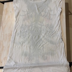 ZARA レーヨン素材　Mサイズ　インセクトプリントワンピースTシャツの画像