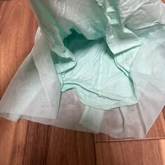 100/スカートの画像