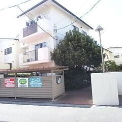 🌟敷礼無料！ペットもOK！リフォーム済3DKで快適生活 - 賃貸（マンション/一戸建て）