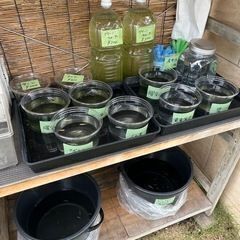 無人野菜売り場　好きに野菜売って