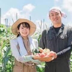 のんちやの広場　畑　持ち帰り　好きなだけ 無人売り場