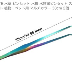 爬虫類　ピンセット　餌やり　の画像