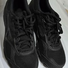 ミズノ　ランニングシューズ 25cm  マキシマイザー20の画像
