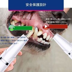 未使用 猫・犬兼用歯ブラシ 超音波振動 USB充電式 5モード調節可能 内蔵LED照明 IPX6防水の画像