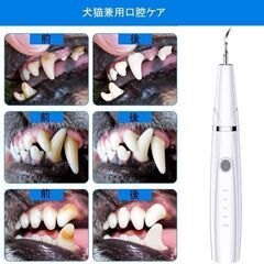 未使用 猫・犬兼用歯ブラシ 超音波振動 USB充電式 5モード調節可能 内蔵LED照明 IPX6防水の画像