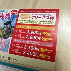 フリーパス2枚　白樺リゾート 池の平ファミリーランド フリーパス特別引換券 2枚セット＋特別優待券の画像