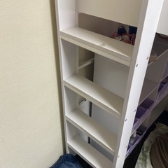 秘密基地みたいなロフトベッド Loft bed Peep(ピープ) の画像