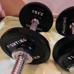 ファイティングロードのダンベル　37.5kg　の画像