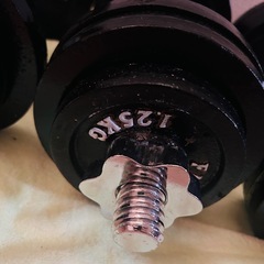 ファイティングロードのダンベル　37.5kg　の画像