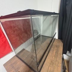 GEX　EXOTERRA グラステラリウム9060 PT2614 両開きフロントドア 爬虫類飼育ケージ W91.5×D46.5×H62.5cm ブラック の画像
