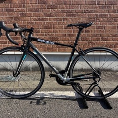 KHODAABLOOM　FARNA SL（サイズ46cm 適応身長165～175cm）の画像