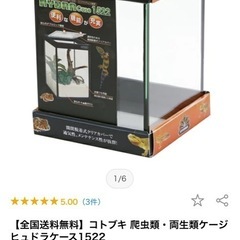 爬虫類   ゲージの画像