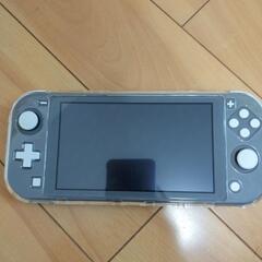 Switchライトケース付きの画像