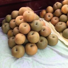 下妻産　幸水なし　大小/1000円　の画像