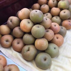 下妻産　幸水なし　大小/1000円　の画像