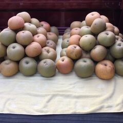 下妻産　幸水なし　大小/1000円　の画像
