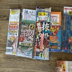 ちょい投げ仕掛けの画像