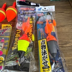 青物仕掛けの画像