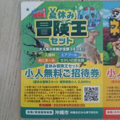 子供　無料チケットの画像