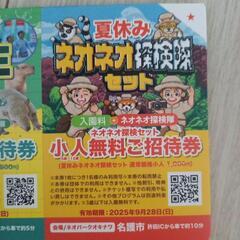 子供　無料チケットの画像