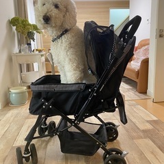 大型犬用ペットカート メッシュカバー付きの画像