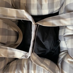 ラディカ ペット用キャリーバッグ チェック柄の画像