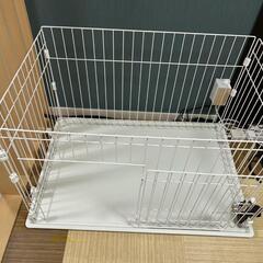 アイリス ペットサーの画像
