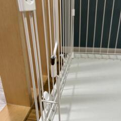 アイリス ペットサーの画像