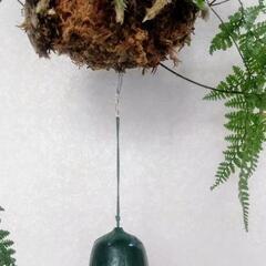 南部鉄器 灯籠風鈴 吊りシノブ　ガーデニング　トキワシノブ　の画像