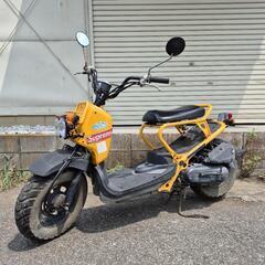 ホンダ　ズーマー　ZOOMER　バッテリー新品　千葉県流山市　全国陸送可能です！の画像